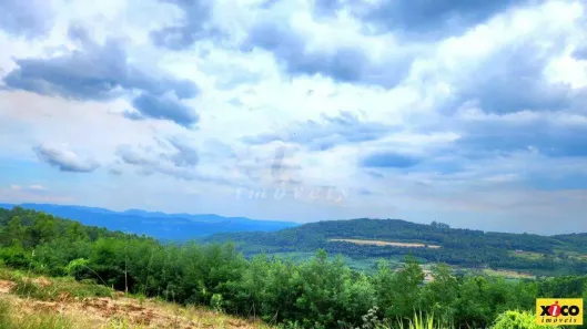 Lote/Terreno à venda, 5000m² no Canto Ruckert, Linha Nova