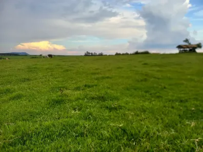 Fazenda/Sítio à venda, 121000m² no Anhumas, Piracicaba