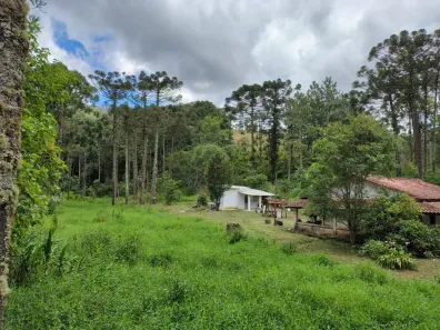 Fazenda/Sítio com 2 Quartos à venda, 54000m² no Parque San Marino, Piracaia