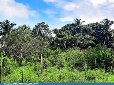 Fazenda/Sítio com 1 Quarto à venda, 1m² no , Turiaçu