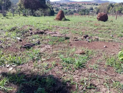 Lote/Terreno à venda, 3000m² no São Gonçalo, Taubaté