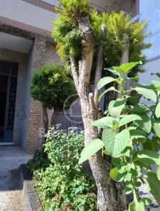 Apartamento com 2 Quartos à venda, 65m² no Andaraí, Rio de Janeiro