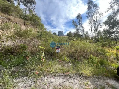 Lote/Terreno à venda, 317m² no Nossa Senhora das Graças, Caxias do Sul