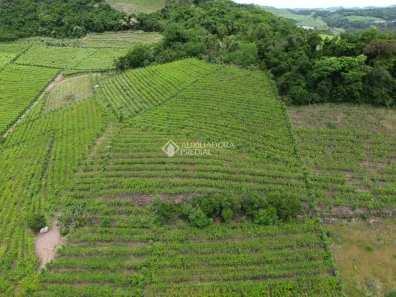 Fazenda/Sítio à venda, 9000m² no Centro, Monte Belo do Sul