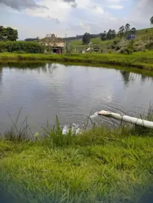 Fazenda/Sítio com 4 Quartos à venda, 145000m² no , Piedade dos Gerais