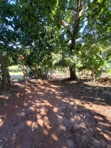 Fazenda/Sítio com 3 Quartos à venda, 500m² no Pederneiras, Pederneiras