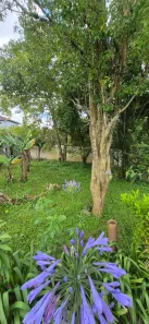 Lote/Terreno à venda, 310m² no Santa Luzia, Ribeirão Pires