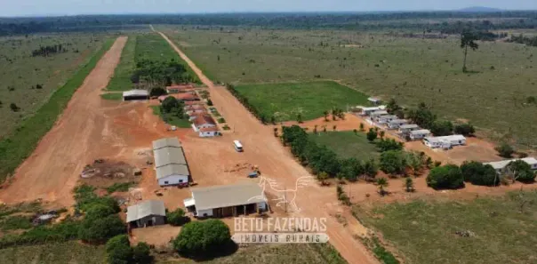 Fazenda/Sítio à venda, 942170000m² no , Aripuanã