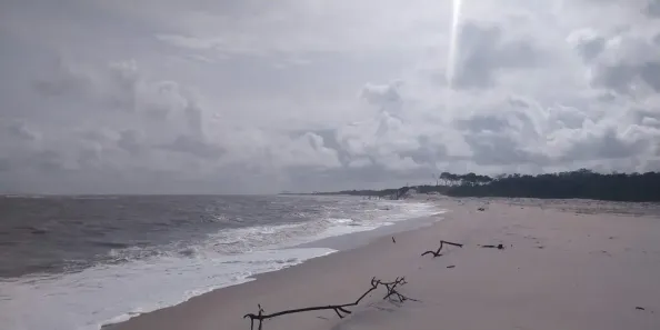 Fazenda/Sítio à venda, 360000000m² no , Primeira Cruz
