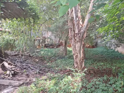 Lote/Terreno à venda, 500m² no Casa Branca, Santo André