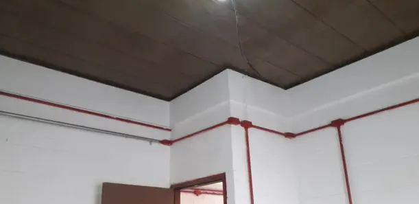 Casa com 1 Quarto para alugar, 30m² no Nova Gerty, São Caetano do Sul