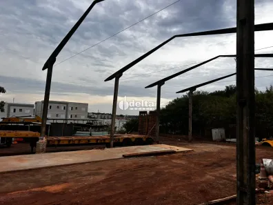 Lote/Terreno à venda, 11462m² no Chácaras Tubalina e Quartel, Uberlândia
