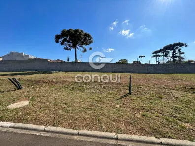 Lote/Terreno à venda, 140m² no Costeira, São José dos Pinhais