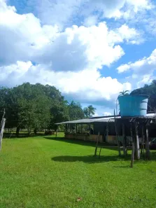Fazenda/Sítio com 3 Quartos à venda, 480000m² no Presidente Figueiredo, Presidente Figueiredo