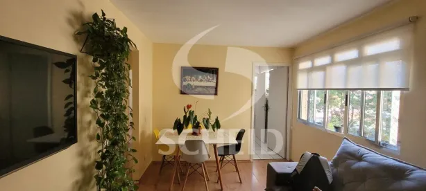 Apartamento com 3 Quartos à venda, 76m² no Vila Mascote, São Paulo