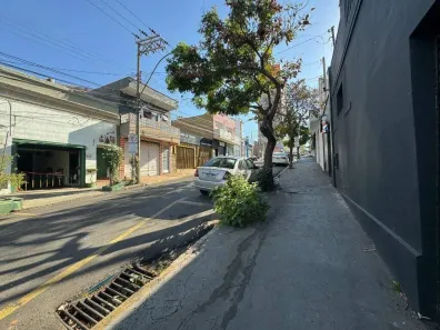 Imóvel Comercial com 20 Quartos à venda, 236m² no Cidade Alta, Piracicaba