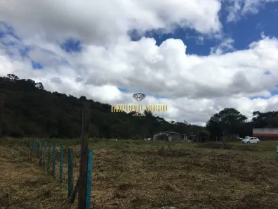 Lote/Terreno à venda, 8170m² no Vila São Pedro, Suzano