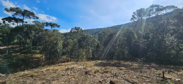 Lote/Terreno à venda, 20000m² no , Urubici