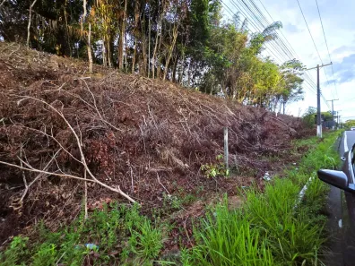 Lote/Terreno à venda, 10000m² no Ponta Negra, Manaus