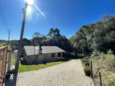 Fazenda/Sítio com 2 Quartos à venda, 3000m² no Vila Seca, Caxias do Sul