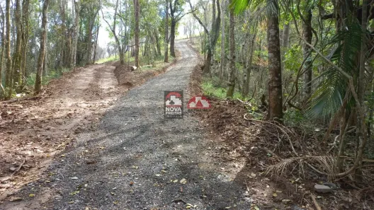 Fazenda/Sítio com 1 Quarto à venda, 10000m² no , Monteiro Lobato