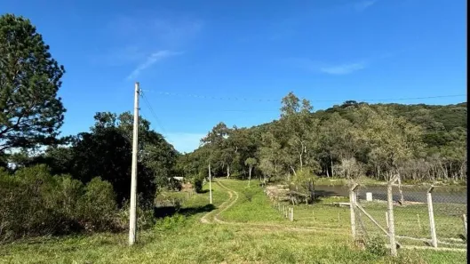 Fazenda/Sítio à venda, 20000m² no Fazenda Souza, Caxias do Sul