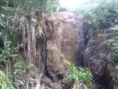 Fazenda/Sítio com 1 Quarto à venda, 90m² no São Luiz do Paraitinga, São Luiz do Paraitinga