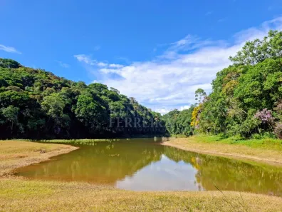 Fazenda/Sítio com 3 Quartos à venda, 19000m² no Centro, Juquitiba