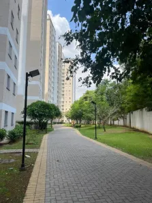 Apartamento com 3 Quartos à venda, 61m² no Vila Moreira, São Paulo