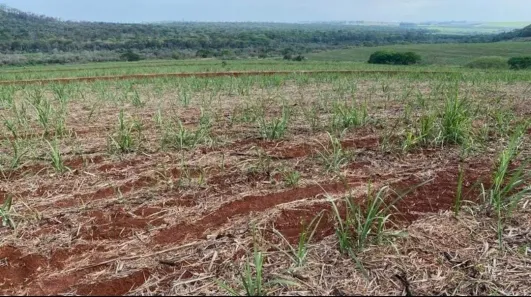 Fazenda/Sítio com 1 Quarto à venda, 1621400m² no Área Rural de São Carlos, São Carlos