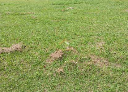 Lote/Terreno à venda, 1025m² no Joapiranga, Valinhos