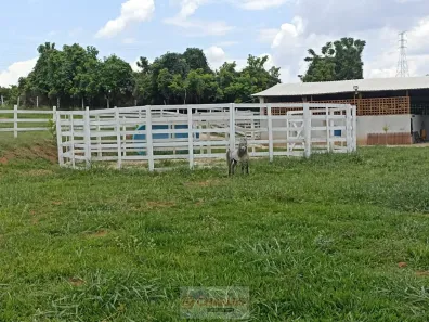 Fazenda/Sítio à venda, 10m² no Centro, Mogi Mirim