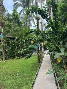 Casa com 3 Quartos à venda, 1000m² no Bairro de Camburi, São Sebastião