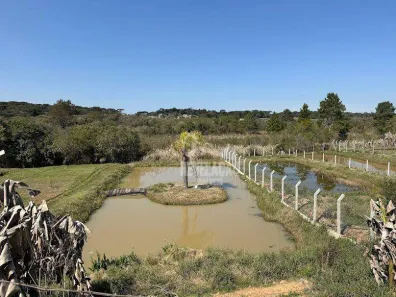 Fazenda/Sítio com 3 Quartos à venda, 1330m² no , São José dos Pinhais