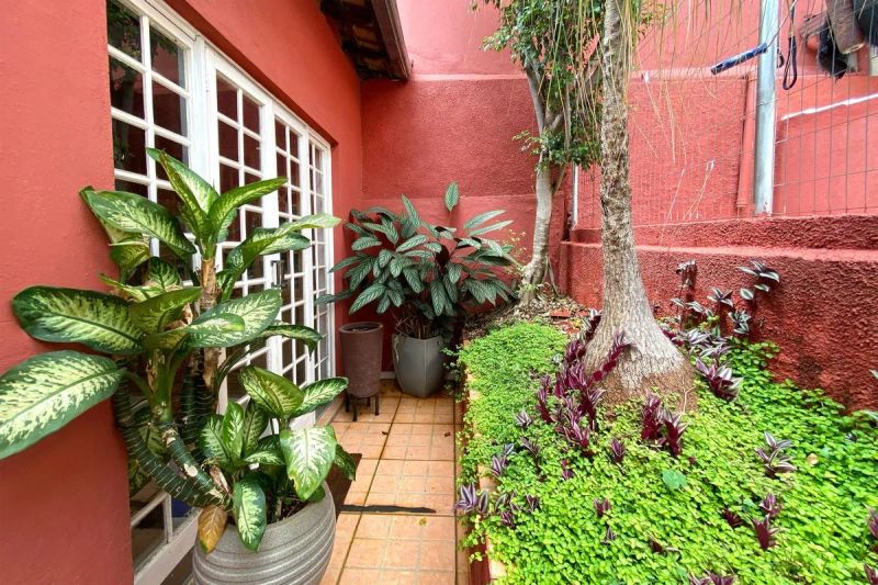 Foto 8