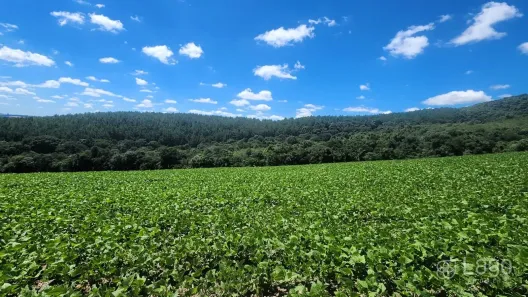 Fazenda/Sítio à venda, 201828m² no , Prudentópolis