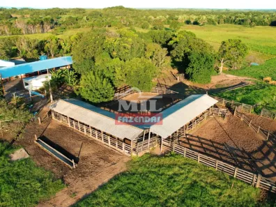 Fazenda/Sítio à venda, 1m² no , Nobres