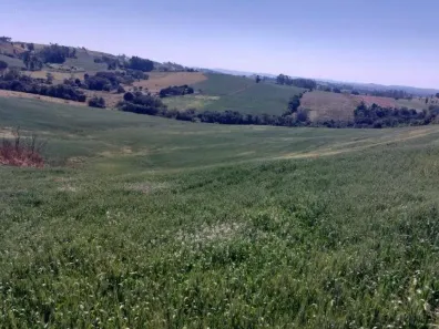 Lote/Terreno com 1 Quarto à venda, 72600m² no , Nova Tebas
