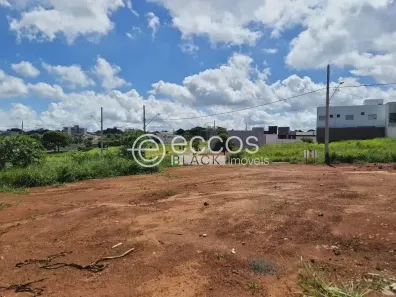 Lote/Terreno à venda, 250m² no Aclimação, Uberlândia