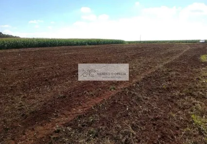 Lote/Terreno à venda, 10m² no , Londrina