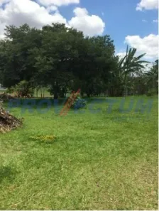 Lote/Terreno à venda, 2000m² no Vale Verde, Valinhos