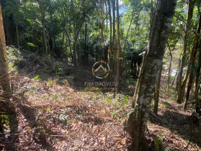 Lote/Terreno à venda, 5000m² no Várzea das Moças, Niterói