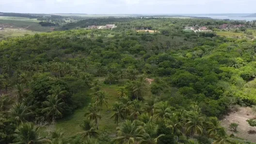 Fazenda/Sítio à venda, 120000m² no , Marechal Deodoro