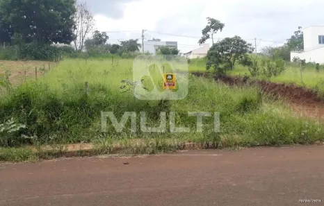 Lote/Terreno com 1 Quarto à venda, 300m² no Vigilato Pereira, Uberlândia