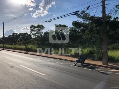 Lote/Terreno com 1 Quarto para alugar, 7000m² no Chácaras Bonanza, Uberlândia