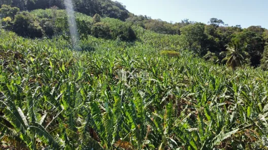 Lote/Terreno à venda, 96800m² no Comunidade Urbana de Andana, Guarapari