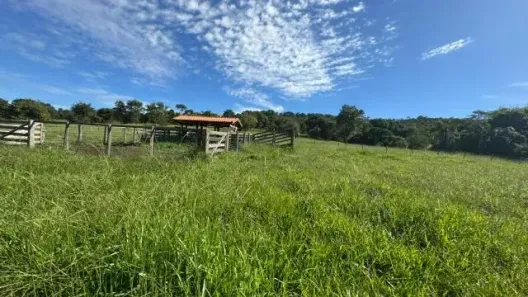 Fazenda/Sítio à venda, 1040600m² no Setor Central, Pontalina