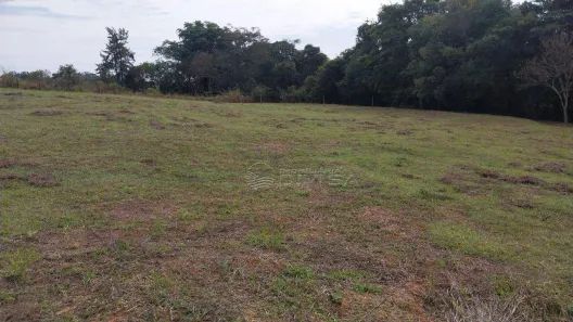 Fazenda/Sítio com 2 Quartos à venda, 100m² no Elias Fausto, Elias Fausto