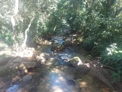 com 6 Quartos à venda, 60000m² no Japuíba, Cachoeiras de Macacu