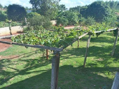 Fazenda/Sítio com 3 Quartos à venda, 1800m² no Residencial Morada do Sol, Jaú